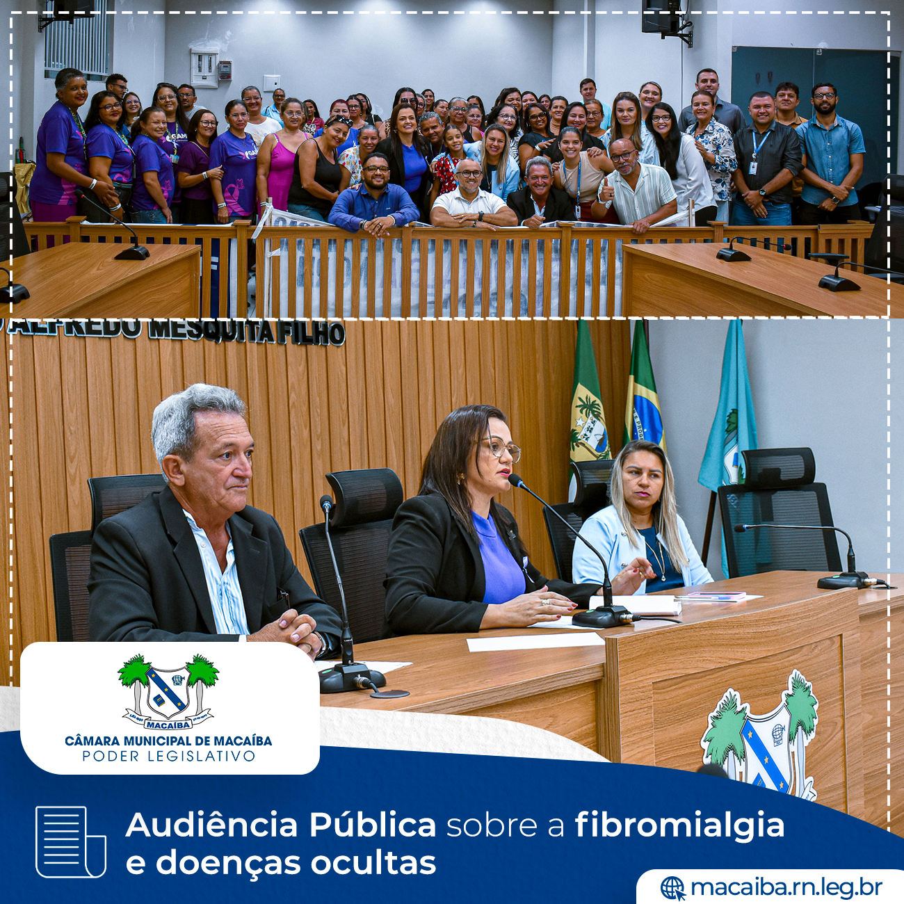 Audiência Pública sobre a fibromialgia e doenças ocultas